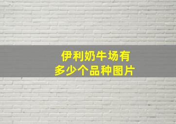 伊利奶牛场有多少个品种图片