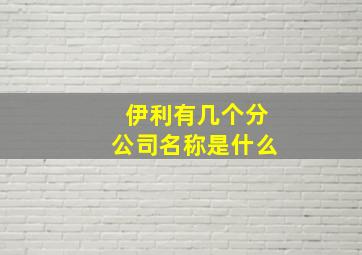 伊利有几个分公司名称是什么