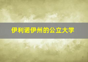 伊利诺伊州的公立大学