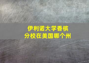 伊利诺大学香槟分校在美国哪个州