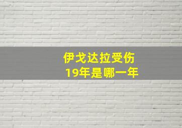 伊戈达拉受伤19年是哪一年