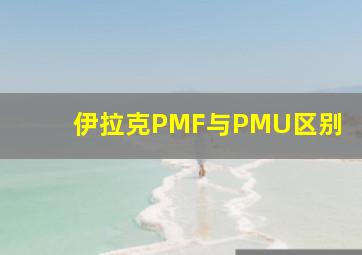 伊拉克PMF与PMU区别