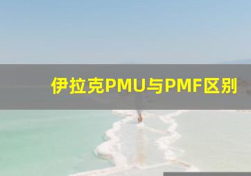 伊拉克PMU与PMF区别