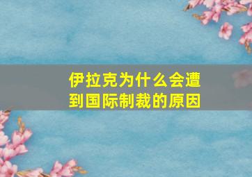 伊拉克为什么会遭到国际制裁的原因