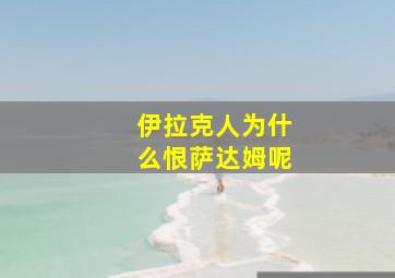 伊拉克人为什么恨萨达姆呢