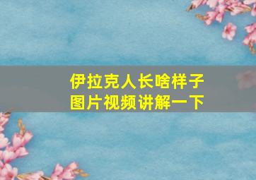 伊拉克人长啥样子图片视频讲解一下