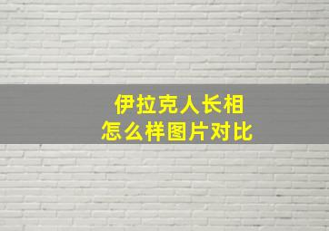 伊拉克人长相怎么样图片对比