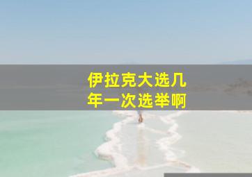 伊拉克大选几年一次选举啊