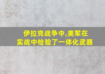 伊拉克战争中,美军在实战中检验了一体化武器