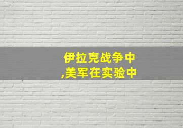 伊拉克战争中,美军在实验中