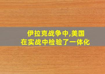 伊拉克战争中,美国在实战中检验了一体化