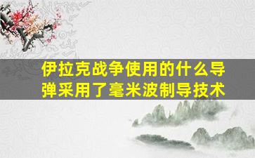 伊拉克战争使用的什么导弹采用了毫米波制导技术