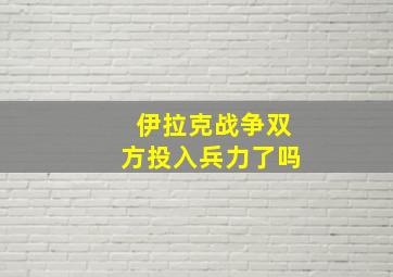 伊拉克战争双方投入兵力了吗