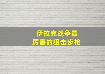 伊拉克战争最厉害的狙击步枪