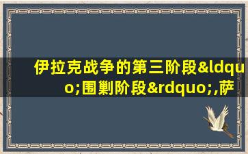 伊拉克战争的第三阶段“围剿阶段”,萨达姆被抓获