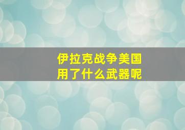 伊拉克战争美国用了什么武器呢