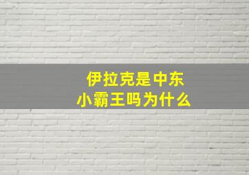 伊拉克是中东小霸王吗为什么