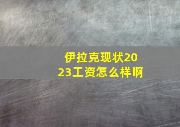 伊拉克现状2023工资怎么样啊