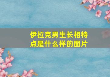 伊拉克男生长相特点是什么样的图片