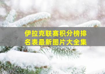 伊拉克联赛积分榜排名表最新图片大全集