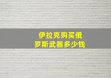 伊拉克购买俄罗斯武器多少钱