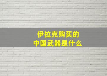 伊拉克购买的中国武器是什么