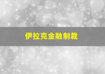 伊拉克金融制裁