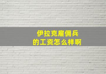 伊拉克雇佣兵的工资怎么样啊