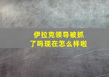 伊拉克领导被抓了吗现在怎么样啦