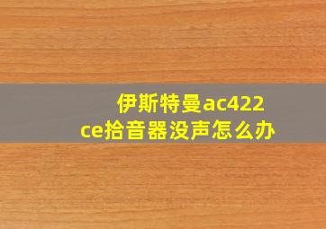 伊斯特曼ac422ce拾音器没声怎么办