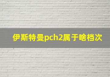 伊斯特曼pch2属于啥档次