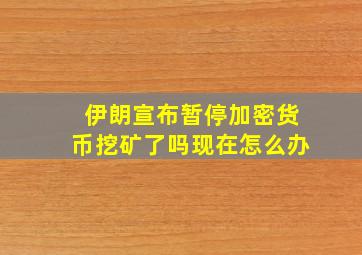 伊朗宣布暂停加密货币挖矿了吗现在怎么办