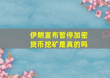 伊朗宣布暂停加密货币挖矿是真的吗