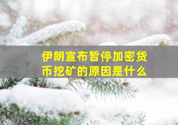 伊朗宣布暂停加密货币挖矿的原因是什么