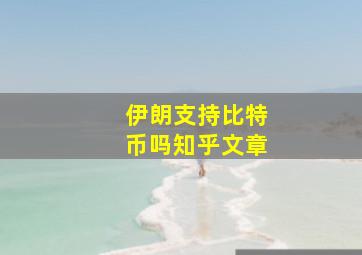 伊朗支持比特币吗知乎文章