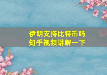 伊朗支持比特币吗知乎视频讲解一下