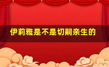 伊莉雅是不是切嗣亲生的