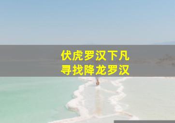 伏虎罗汉下凡寻找降龙罗汉