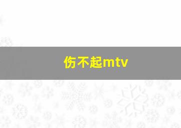 伤不起mtv