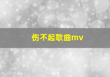 伤不起歌曲mv