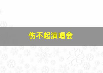 伤不起演唱会