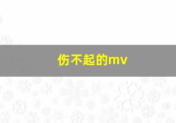 伤不起的mv