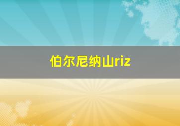 伯尔尼纳山riz