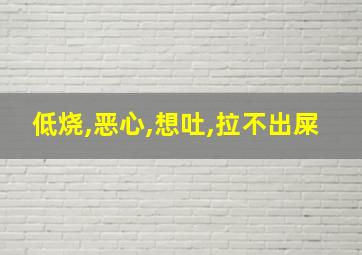 低烧,恶心,想吐,拉不出屎