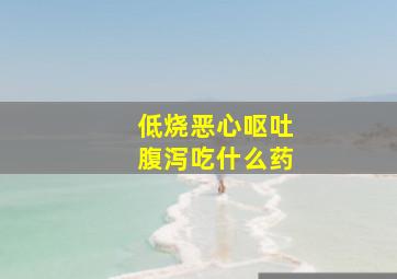 低烧恶心呕吐腹泻吃什么药