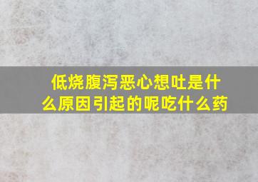 低烧腹泻恶心想吐是什么原因引起的呢吃什么药