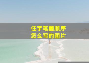 住字笔画顺序怎么写的图片