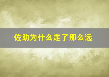 佐助为什么走了那么远