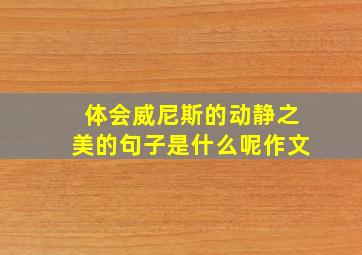 体会威尼斯的动静之美的句子是什么呢作文