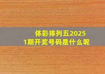 体彩排列五20251期开奖号码是什么呢